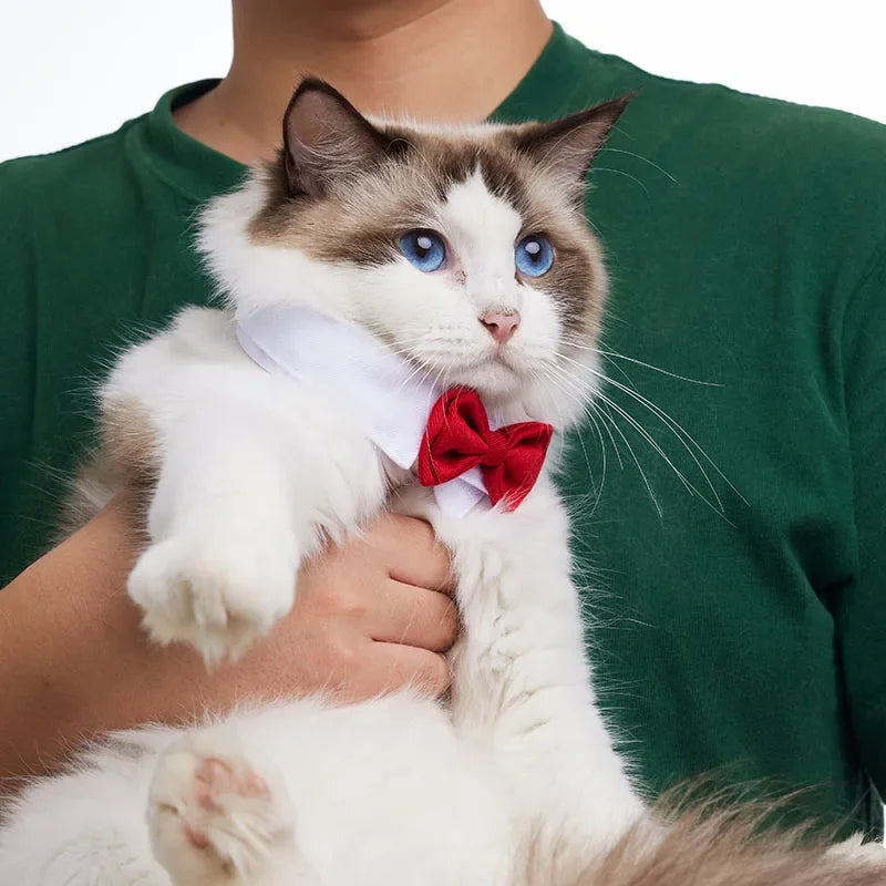 Adjustable Pets Bow Tie