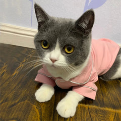 Cozy Pajamas for Cats