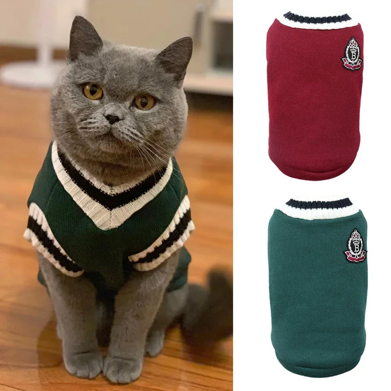 Autumn Pet Sweater