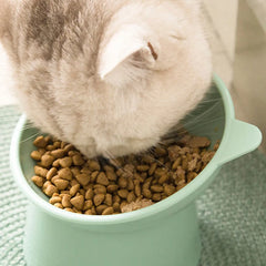 High Tilt Food Bowl